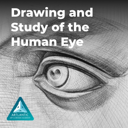 Drawing and study of the human eye course
